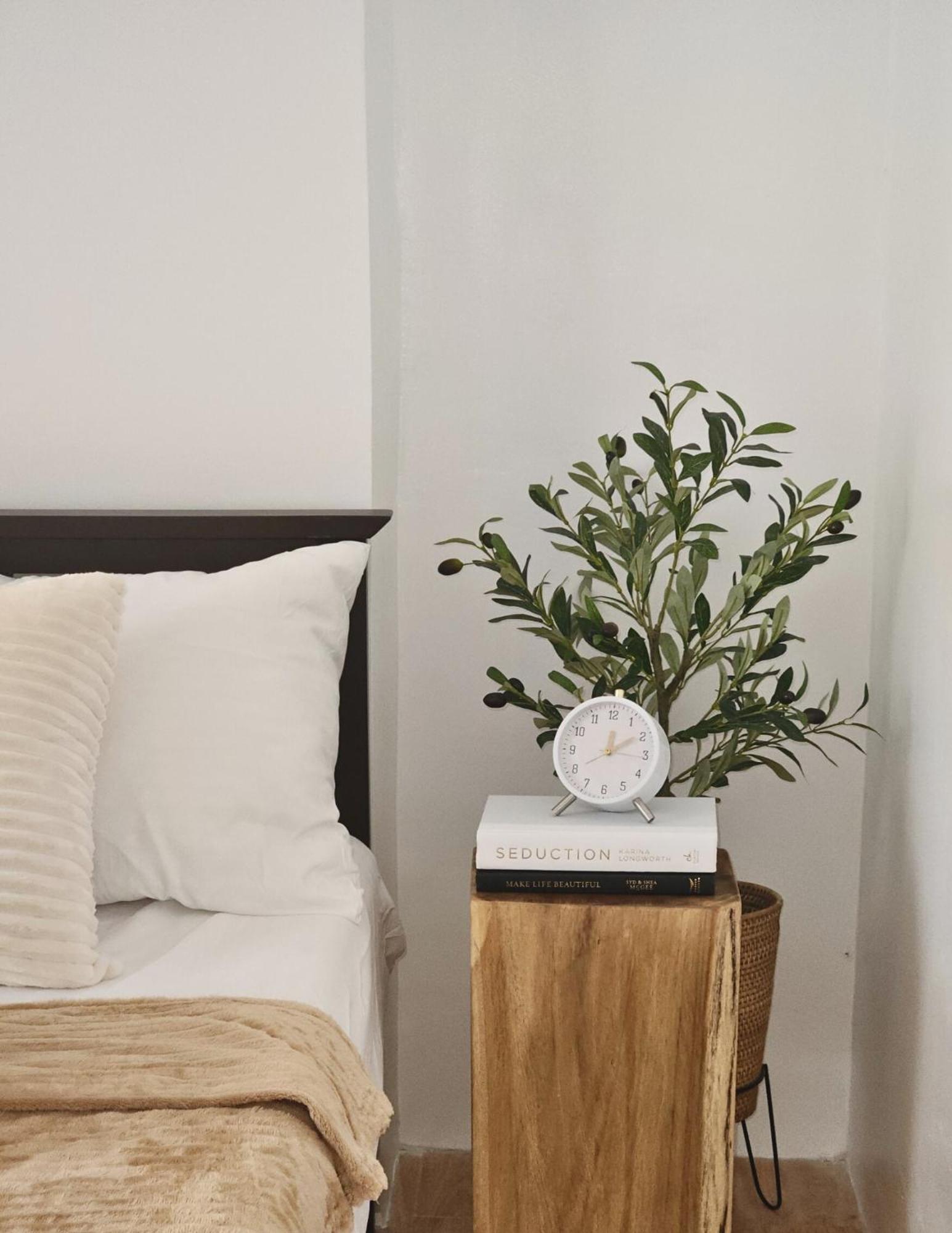 The Traveller'S Haven Airbnb 宿务 外观 照片